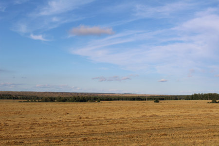 Autumn landscape with stubble field and blue sky with white cloudsの写真素材