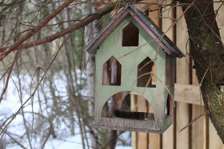 bird feeder, birdhouse, wooden bird feederの写真素材