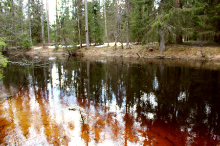 Reflection of trees in the lake water in the autumn forest.の写真素材