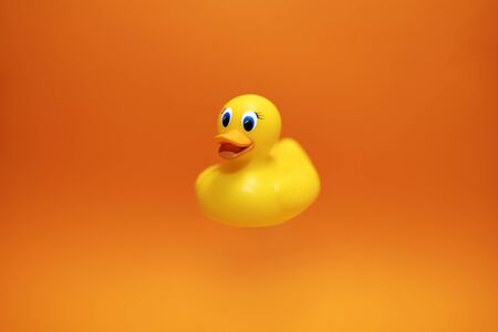 Yellow duck on the orange backgroundの写真素材