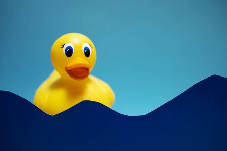 Yellow duck on the blue backgroundの写真素材