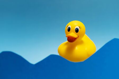 Yellow duck on the blue background