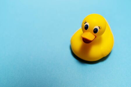 Children's bath rubber yellow duck on the blue background. Swimming concept. Minimal idea. Copy space. Place for text and design.の写真素材