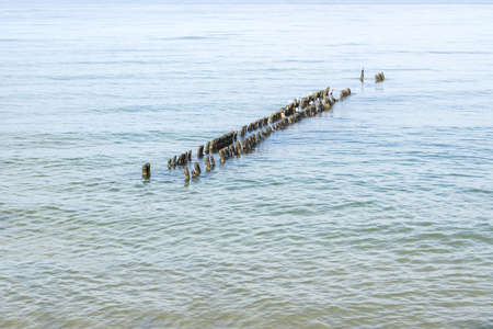 Overlooking the Baltic Sea close to the shoreの写真素材