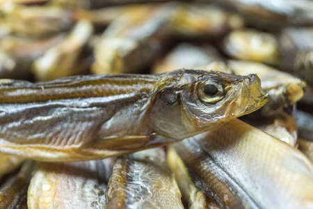 The head of a little dried fish compared to other, close up.の写真素材