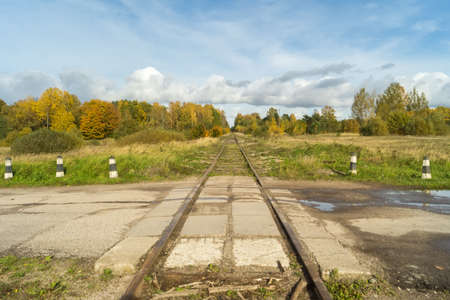 Crossing the railway and the road in the autumn forest.の写真素材