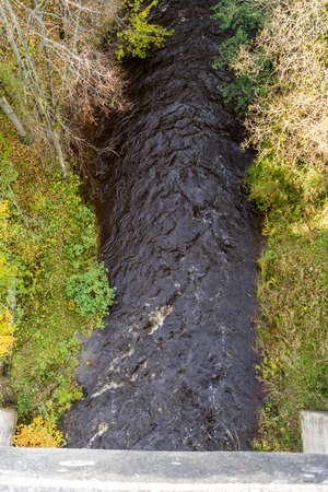 Forest river flows under the railway bridge.