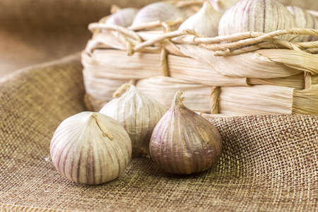 Garlic (Allium sativum) on the fabric next to the wicker basket.の写真素材