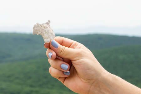 Traces of amonites on the stones in the mountains of Crimeaの写真素材