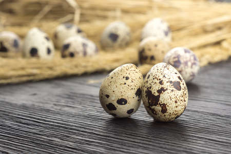 Quail eggs and dry grass on a gray wooden table
