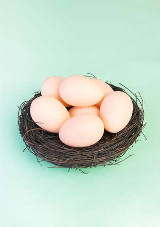 Beige eggs in the nest of branches on a green backgroundの写真素材