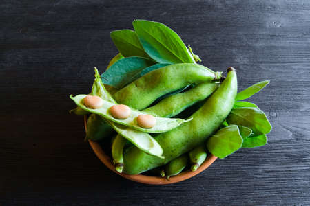 Ripe bean pods on a black wooden table. Agricultural concept, harvest seasonの写真素材
