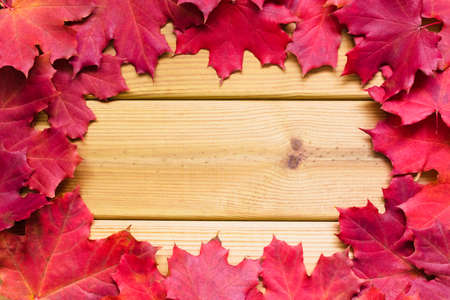 Frame of red maple leaves on a wooden background