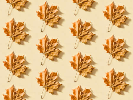 Seamless background with dry maple leaf on beige paper. Autumn foliage pattern