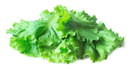 Curly leaves of green fresh salad isolated on white. Healthy foodの写真素材