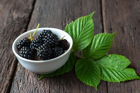 Ripe blackberries in a bowl and foliage on a wooden table. Harvesting season in the home gardenの写真素材