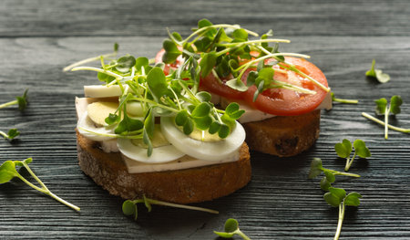 Sandwiches with cheese, tomato and egg sprinkled with microgreens on a wooden tableの写真素材