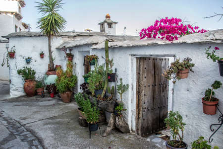 low white houses of the Alpujarra with chimneys, old wooden doors and abundant hanging pots and on the ground of succulents, cacti, palm trees and bougainvilleaの写真素材