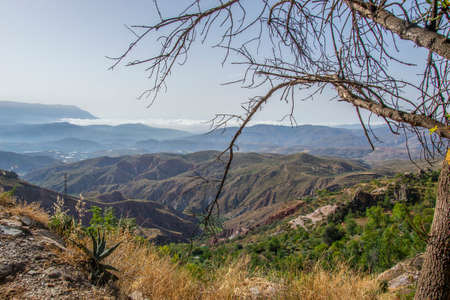 Alpujarra landscape with valleys, ravines, mountains, a low cloud in the background and branches of a tree in the foregroundの写真素材