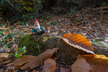 gnome lying on a rock that has moss surrounded by autumnal leaves in the Alpujarraの写真素材