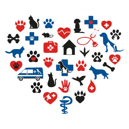 Set of veterinary medicine on white backgroundのイラスト素材