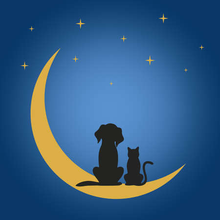 a dog and a cat sit on the moon under the stars at nightのイラスト素材