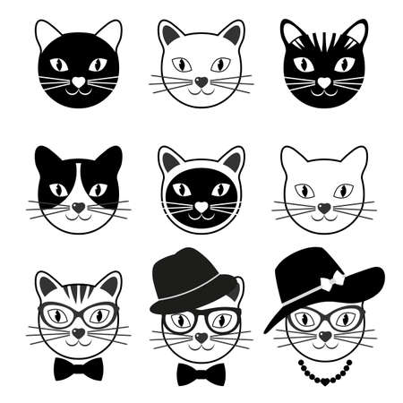 set of cute cats on a white backgroundのイラスト素材