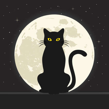 illustration of a black cat on a background of the night sky with stars and the moonのイラスト素材