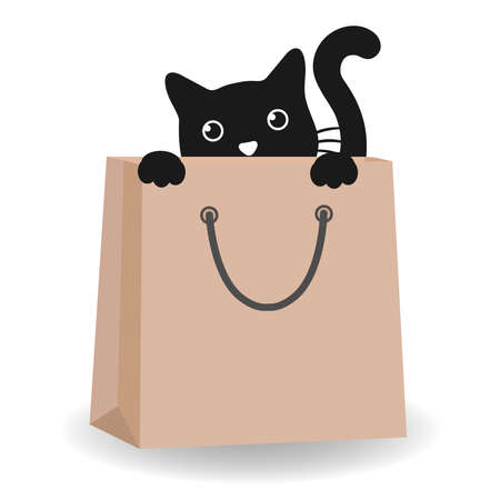Cute black cat in a bag on a white backgroundのイラスト素材