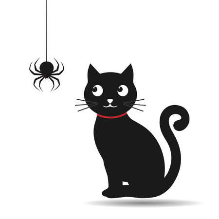 Illustration of a black cute kitten looks at a hanging spider with a shadow on a white backgroundのイラスト素材