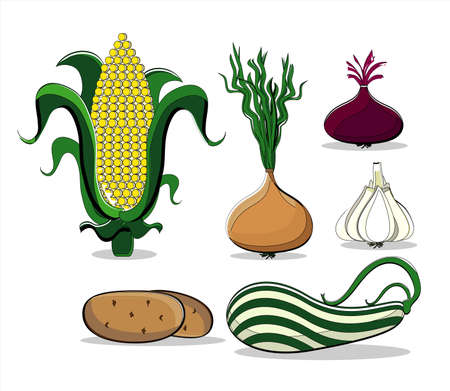 vegetables colored summer on white backgroundのイラスト素材