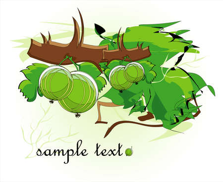 gooseberry decorative green backgroundのイラスト素材