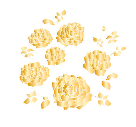 Floral design, vector illustration set hand drawn. Golden gradient garden roses flowers and leaves, elegant bouquet. Isolated on white background.のイラスト素材