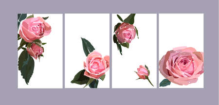 Floral design illustration, garden flower pink rose isolated on white background. Elegant bouquet print in rustic style. Wedding invitation card template.のイラスト素材