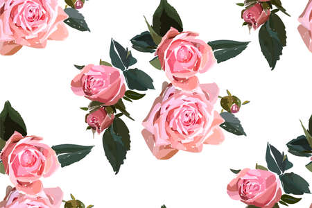 Floral seamless background pattern. Watercolor pink garden roses in hand drawn style. Elegant flowers, vector illustration for textile, wrapping paper, wedding card.のイラスト素材