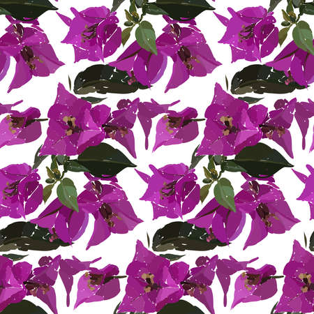 Pink bougainvillea seamless pattern. Botanical illustration hand drawn. Vector floral design for fashion prints, scrapbook, wrapping paper.のイラスト素材
