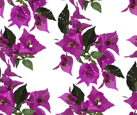 Pink bougainvillea seamless pattern. Botanical illustration hand drawn. Vector floral design for fashion prints, scrapbook, wrapping paper.のイラスト素材