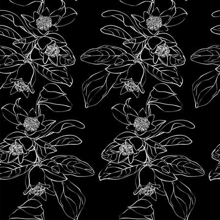 Pomegranate branch seamless pattern. Floral disign vector illustration in hand drawn style. Textile prints, wrapping paper, scrapbook.のイラスト素材
