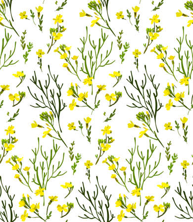 Floral seamless background pattern with wild flowers and leaves. Botanical illustration  hand drawn.Textile print, fabric swatch, wrapping paper.のイラスト素材