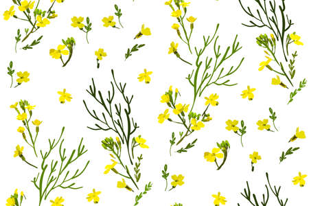 Floral seamless background pattern with wild flowers and leaves. Botanical illustration  hand drawn.Textile print, fabric swatch, wrapping paper.のイラスト素材