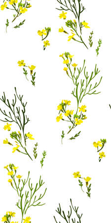 Floral seamless background pattern with wild flowers and leaves. Botanical illustration  hand drawn.Textile print, fabric swatch, wrapping paper.のイラスト素材