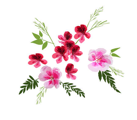 Set of Floral Greeting card with different garden flowers, botanical natural Illustration isolated on white backgroundn hand drawn style.のイラスト素材