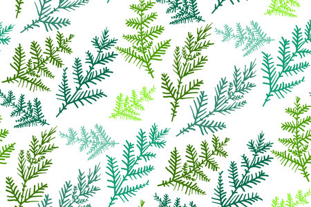 Floral seamless pattern with different flowers and leaves. Botanical illustration hand painted. Textile print, fabric swatch, wrapping paper.のイラスト素材