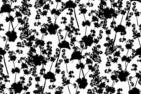 Floral seamless background pattern. Wild flowers hand drawn, vector. Spring summer. Fabric swatch, textile design, wrapping paperのイラスト素材