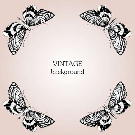 Vintage vector background with butterfly, hand drawn ink illustrationのイラスト素材