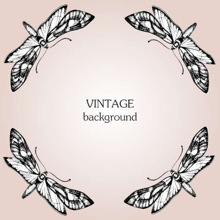 Vintage vector background with butterfly, hand drawn ink illustrationのイラスト素材
