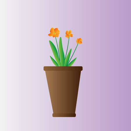 Beautiful orange flower with green long stems in a potのイラスト素材