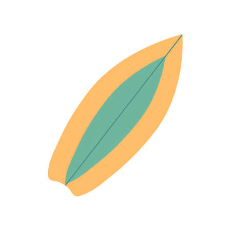 Isolated image of a surfboard on a white backgroundのイラスト素材