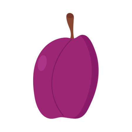 Ripe plum on a white backgroundのイラスト素材