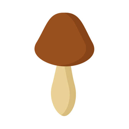 Brown mushroom on a white background for use in web design, clipart or printのイラスト素材